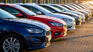 najpopularniejsze auta w Polsce ustawione w rzędzie na parkingu